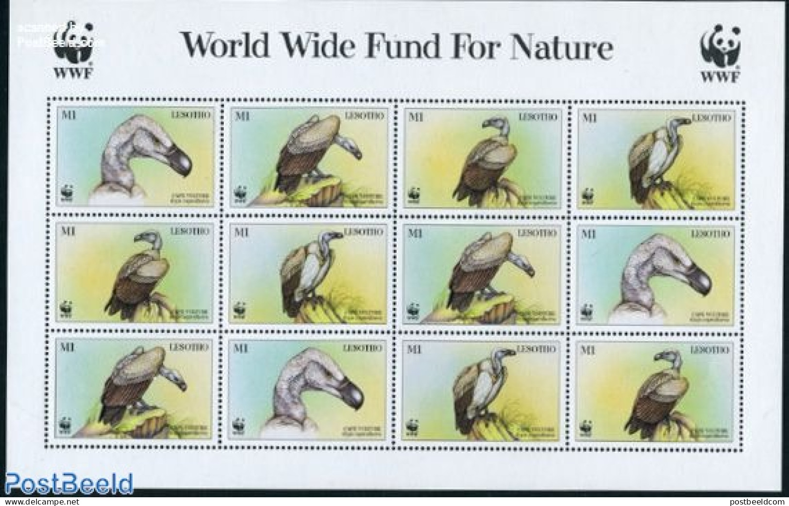 Lesotho 1998 WWF, Vulture M/s (with 3 Sets), Mint NH, Nature - Birds - Birds Of Prey - World Wildlife Fund (WWF) - Lesotho (1966-...)