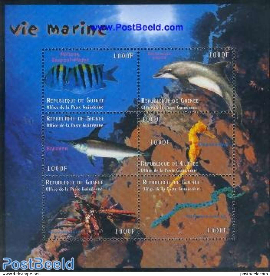 Guinea, Republic 2001 Marine Life 6v M/s, Mint NH, Nature - Fish - Sea Mammals - Peces