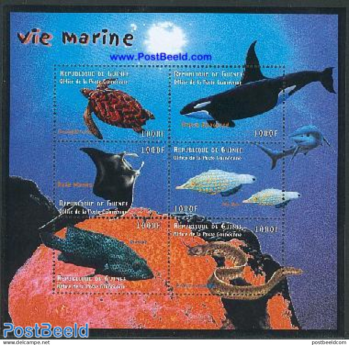 Guinea, Republic 2001 Marine Life 6v M/s, Mint NH, Nature - Fish - Sea Mammals - Turtles - Poissons