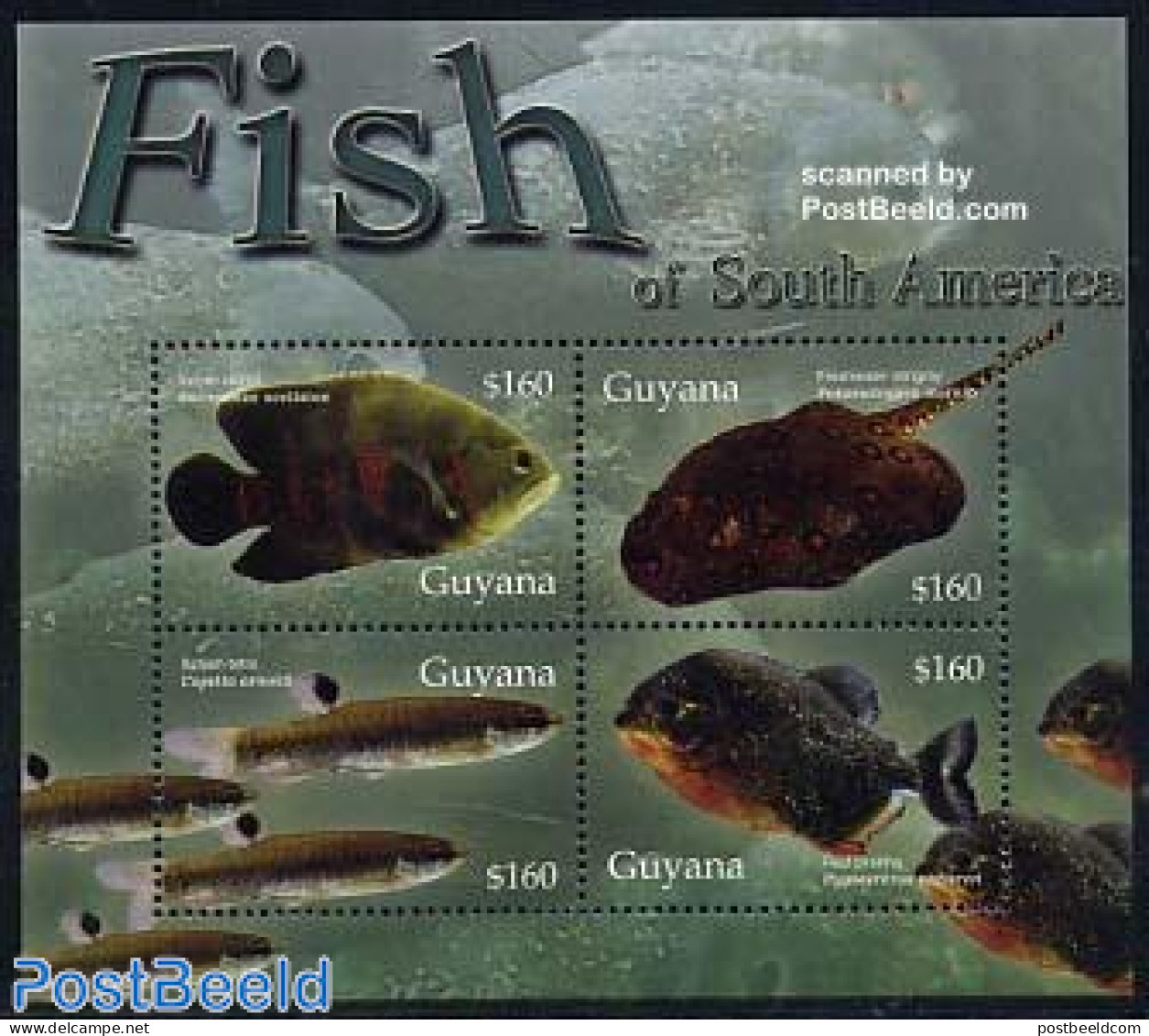 Guyana 2004 Fish 4v M/s, Velvet Cichlid, Mint NH, Nature - Fish - Fishes