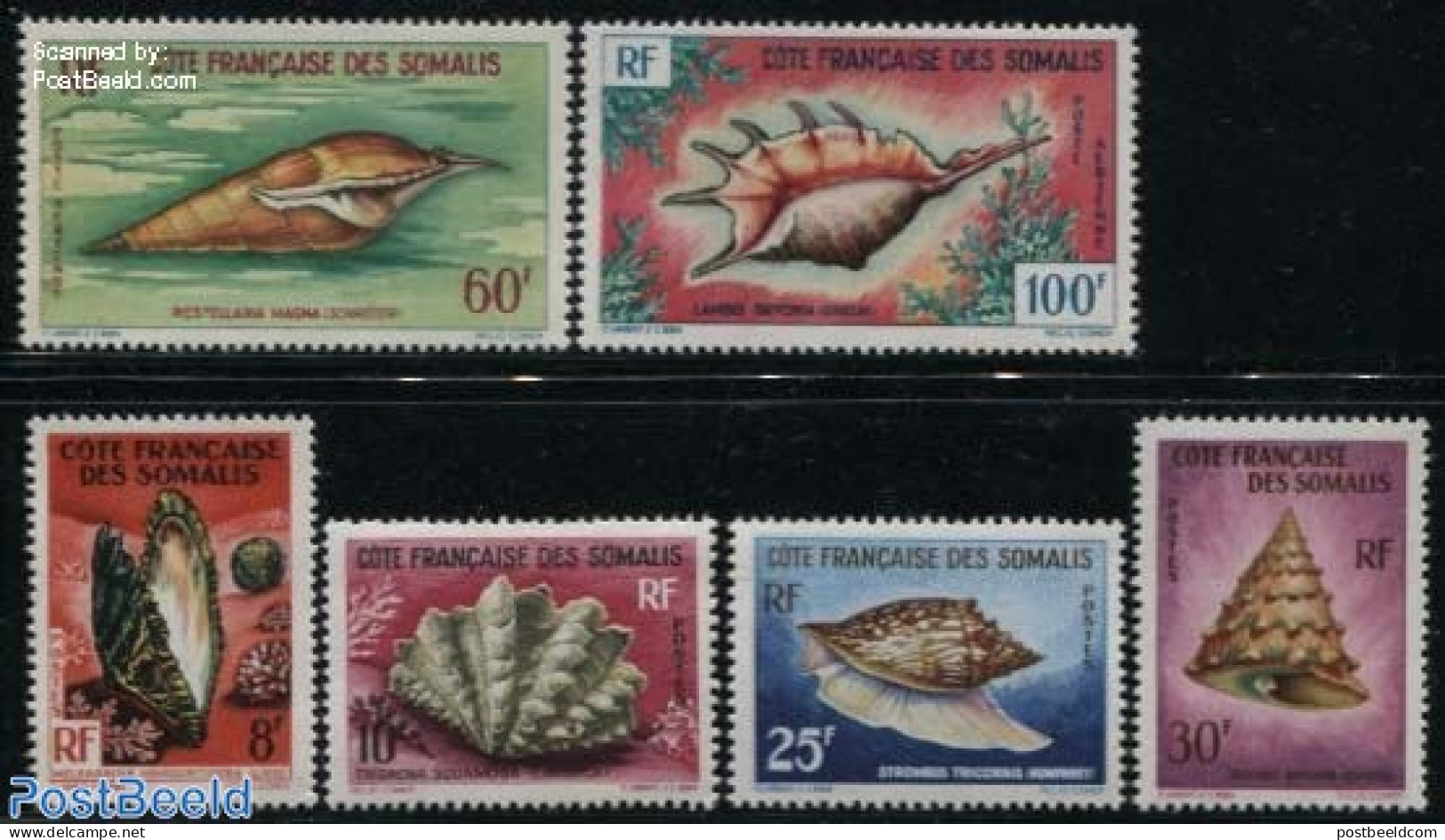 French Somalia 1963 Shells 6v, Unused (hinged), Nature - Shells & Crustaceans - Marine Life