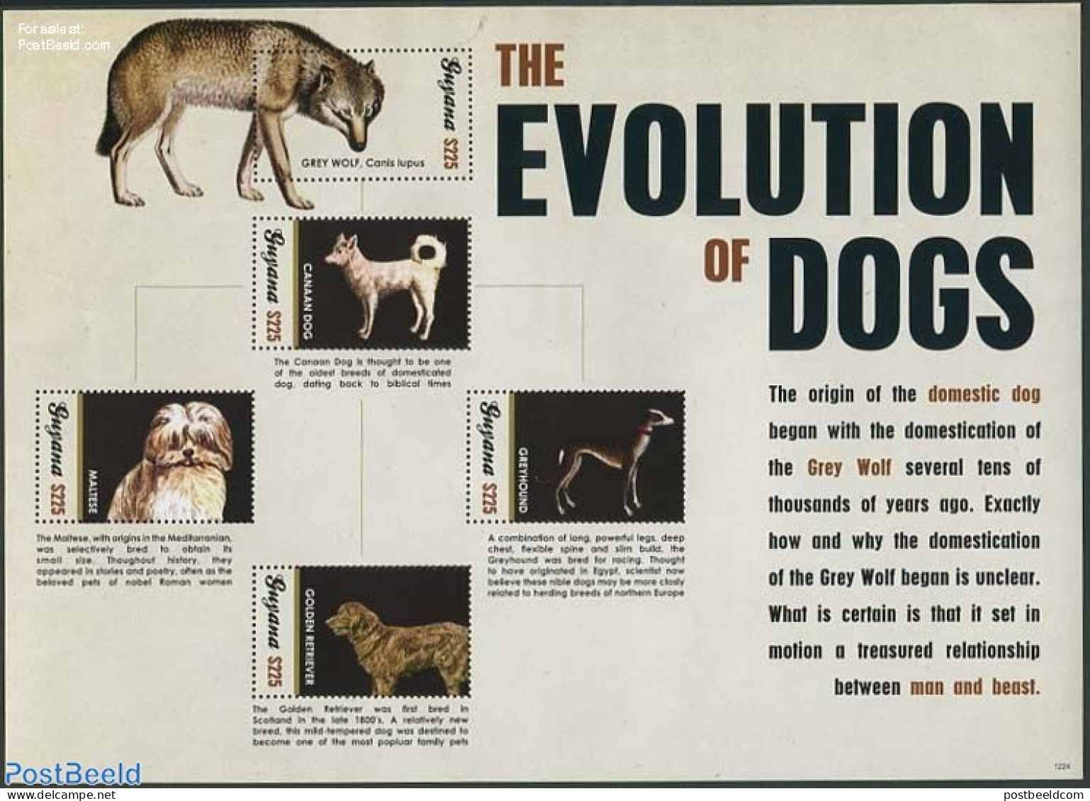 Guyana 2012 The Evolution Of Dogs 5v M/s, Mint NH, Nature - Dogs - Guyana (1966-...)