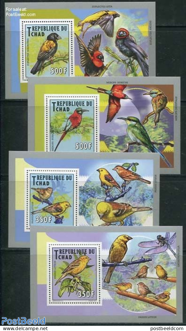 Chad 2012 Birds 4 S/s, Mint NH, Nature - Birds - Other & Unclassified