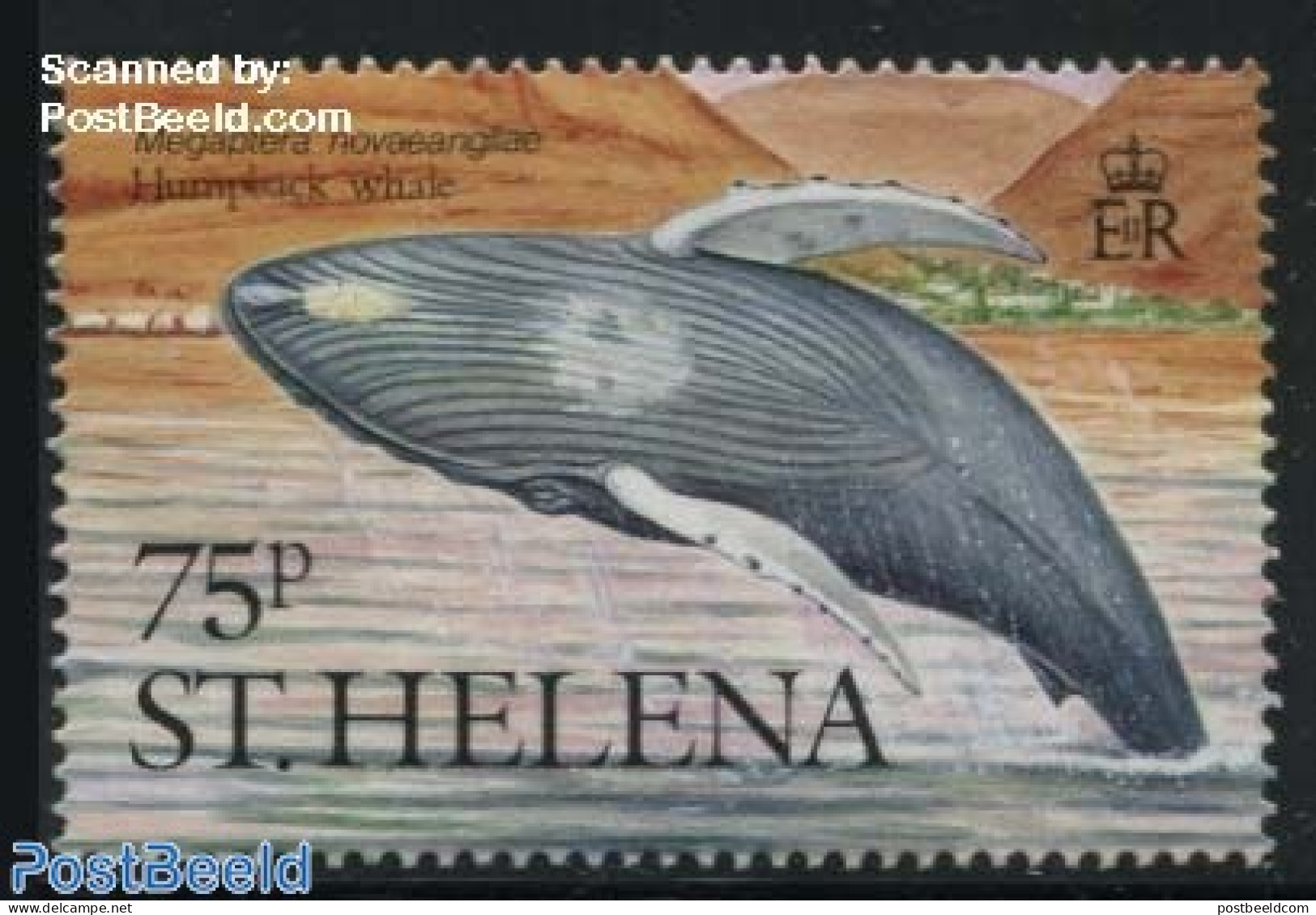 Saint Helena 1987 Whale 1v (from S/s), Mint NH, Nature - Sea Mammals - Sainte-Hélène