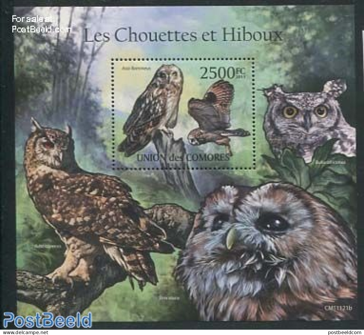 Comoros 2011 Owls S/s, Mint NH, Nature - Birds - Birds Of Prey - Owls - Comores (1975-...)