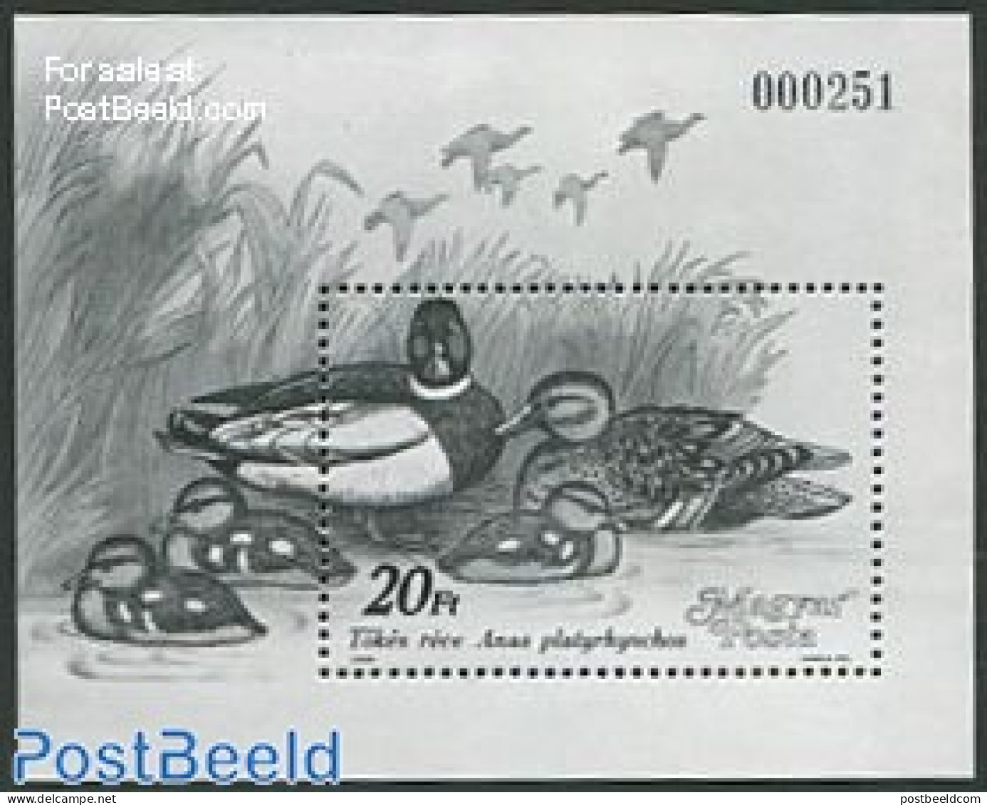 Hungary 1988 Ducks S/s, Blackprint, Mint NH, Nature - Ducks - Ongebruikt