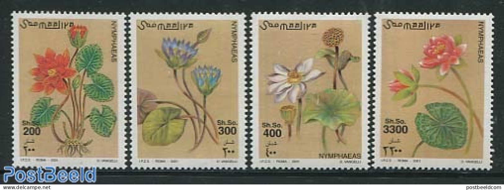 Somalia 2001 Sea Roses 4v, Mint NH, Nature - Flowers & Plants - Somalia (1960-...)