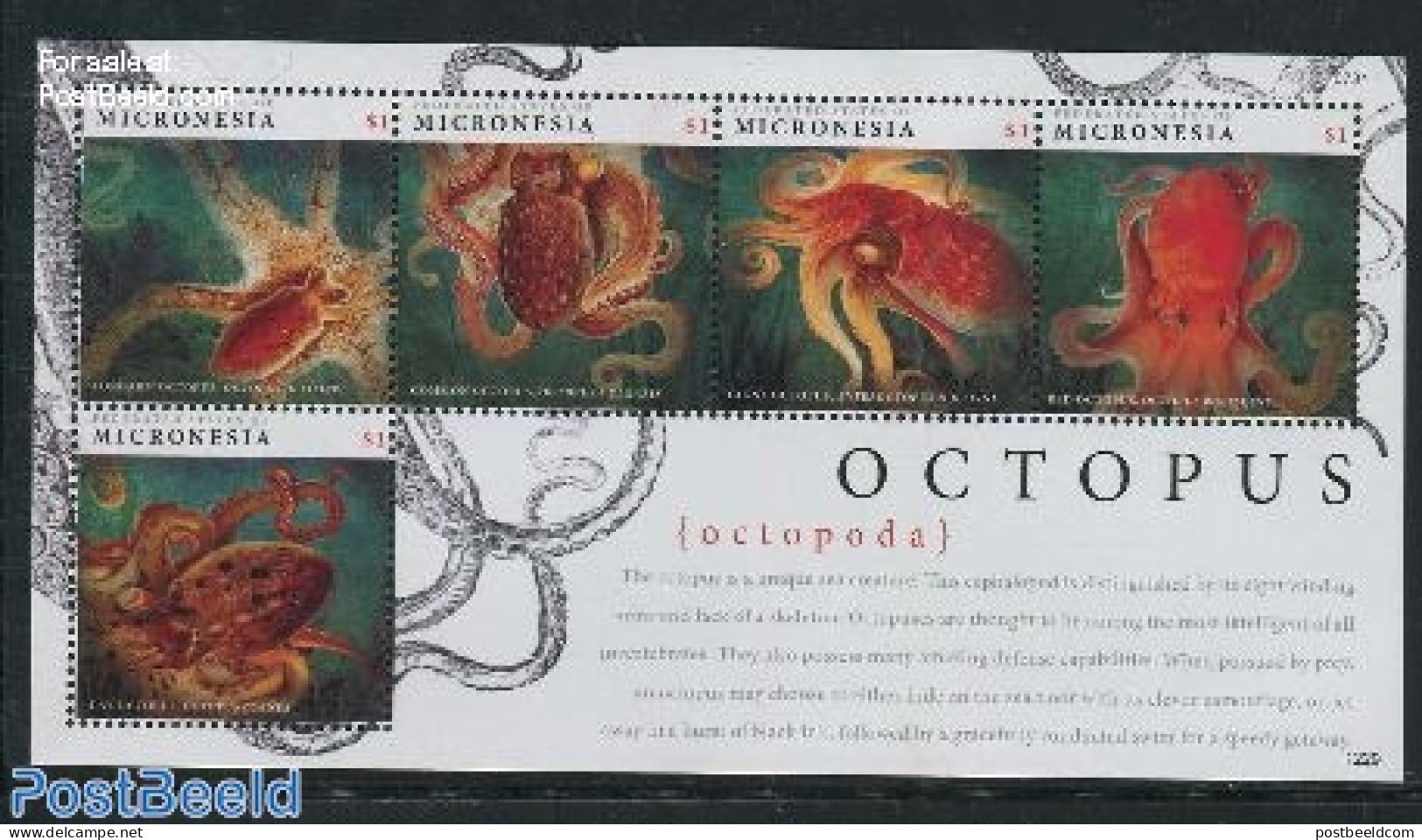 Micronesia 2012 Octopus 5v M/s, Mint NH, Nature - Fish - Poissons