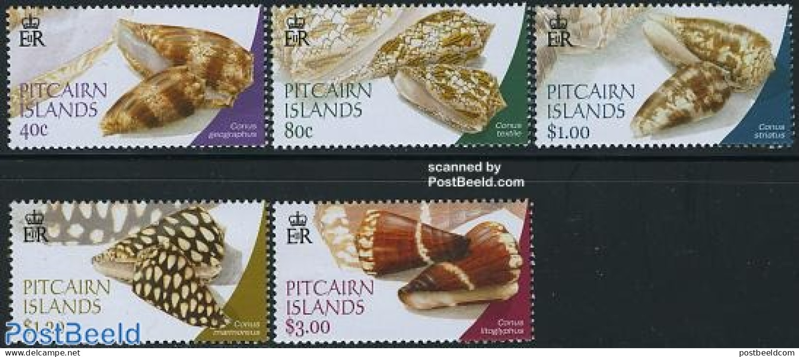 Pitcairn Islands 2003 Shells 5v, Mint NH, Nature - Shells & Crustaceans - Marine Life