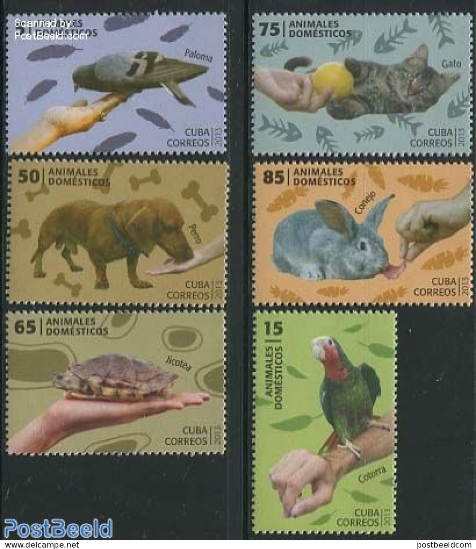Cuba 2013 Domestic Animals 6v, Mint NH, Nature - Animals (others & Mixed) - Birds - Cats - Dogs - Parrots - Rabbits / .. - Unused Stamps