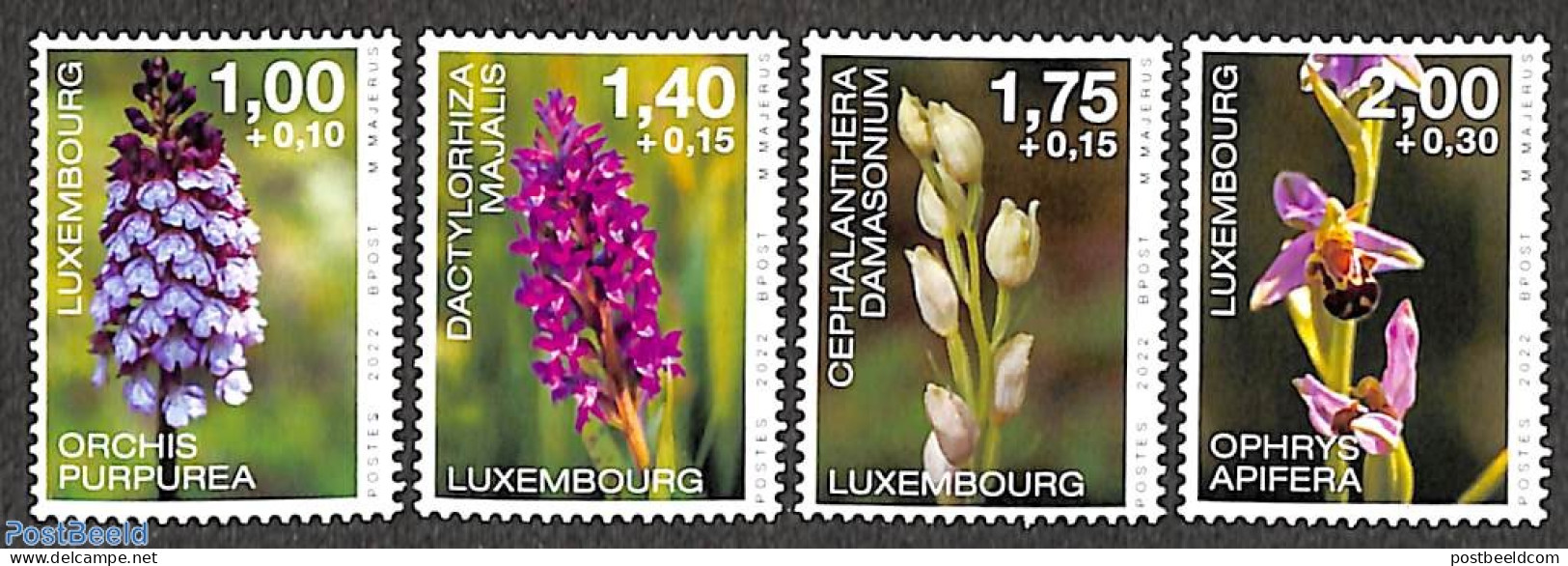 Luxemburg 2022 Caritas, Orchids 4v, Mint NH, Nature - Flowers & Plants - Orchids - Ongebruikt