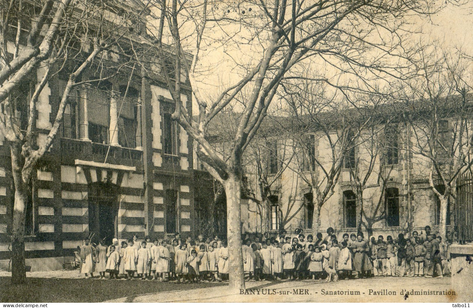 66 - Banyls Sur Mer - Sanatorium - Pavillon D'administration - Banyuls Sur Mer