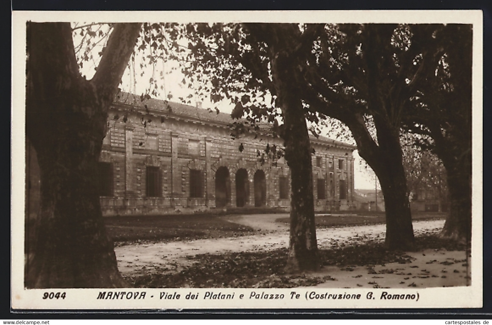 Cartolina Mantova, Viale Dei Platani E Palazzo Te (Costruzione G. Romano)  - Mantova