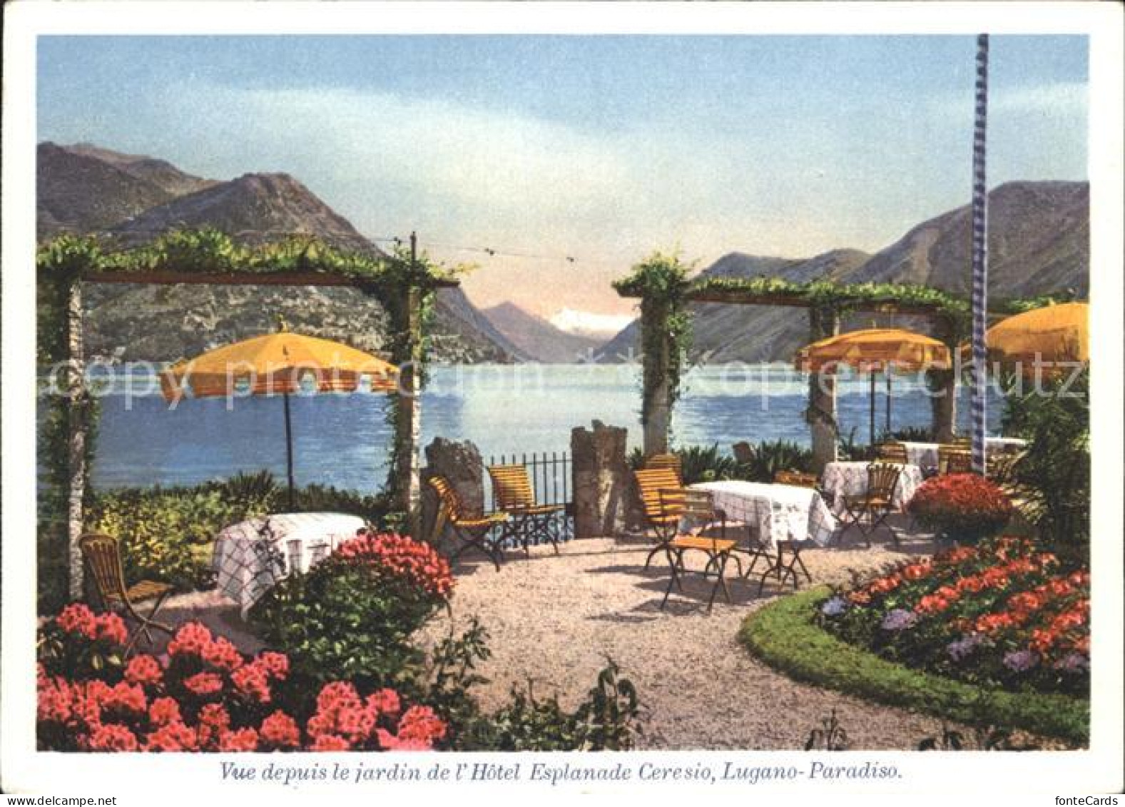 11889795 Paradiso TI Hotel Esplanade Ceresio Garten Paradiso - Sonstige & Ohne Zuordnung