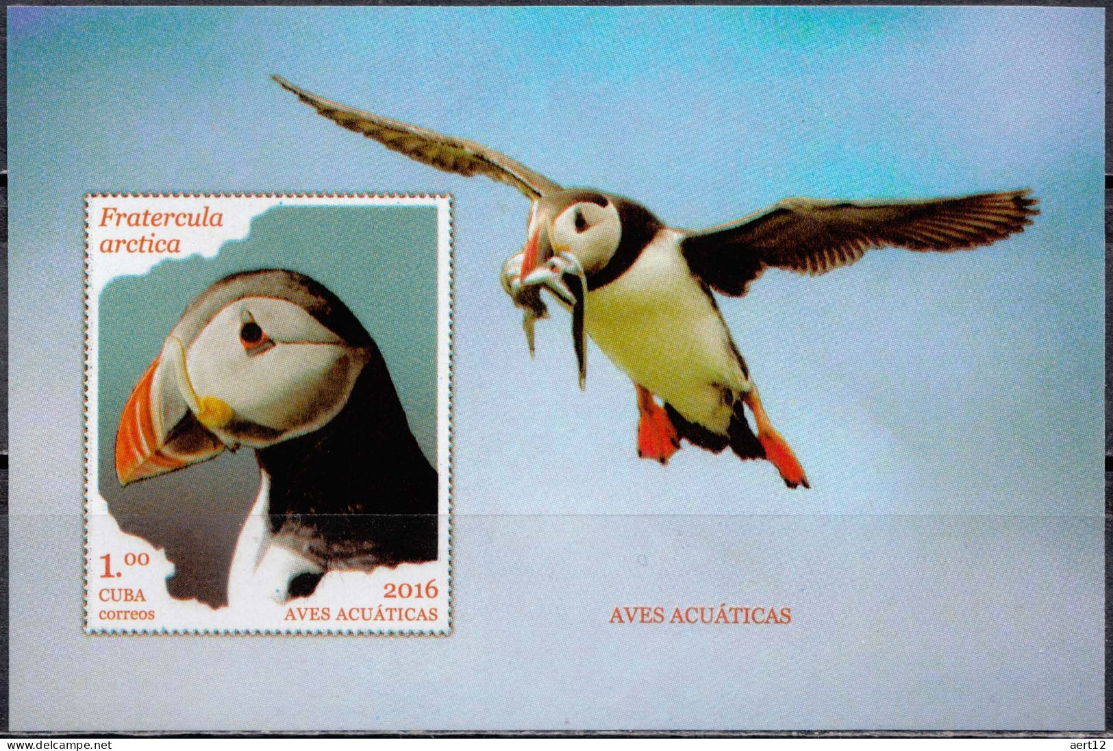 2016, Cuba, Waterbirds, Animals, Birds, Puffins, Souvenir Sheet, MNH(**), CU BL340 - Unused Stamps