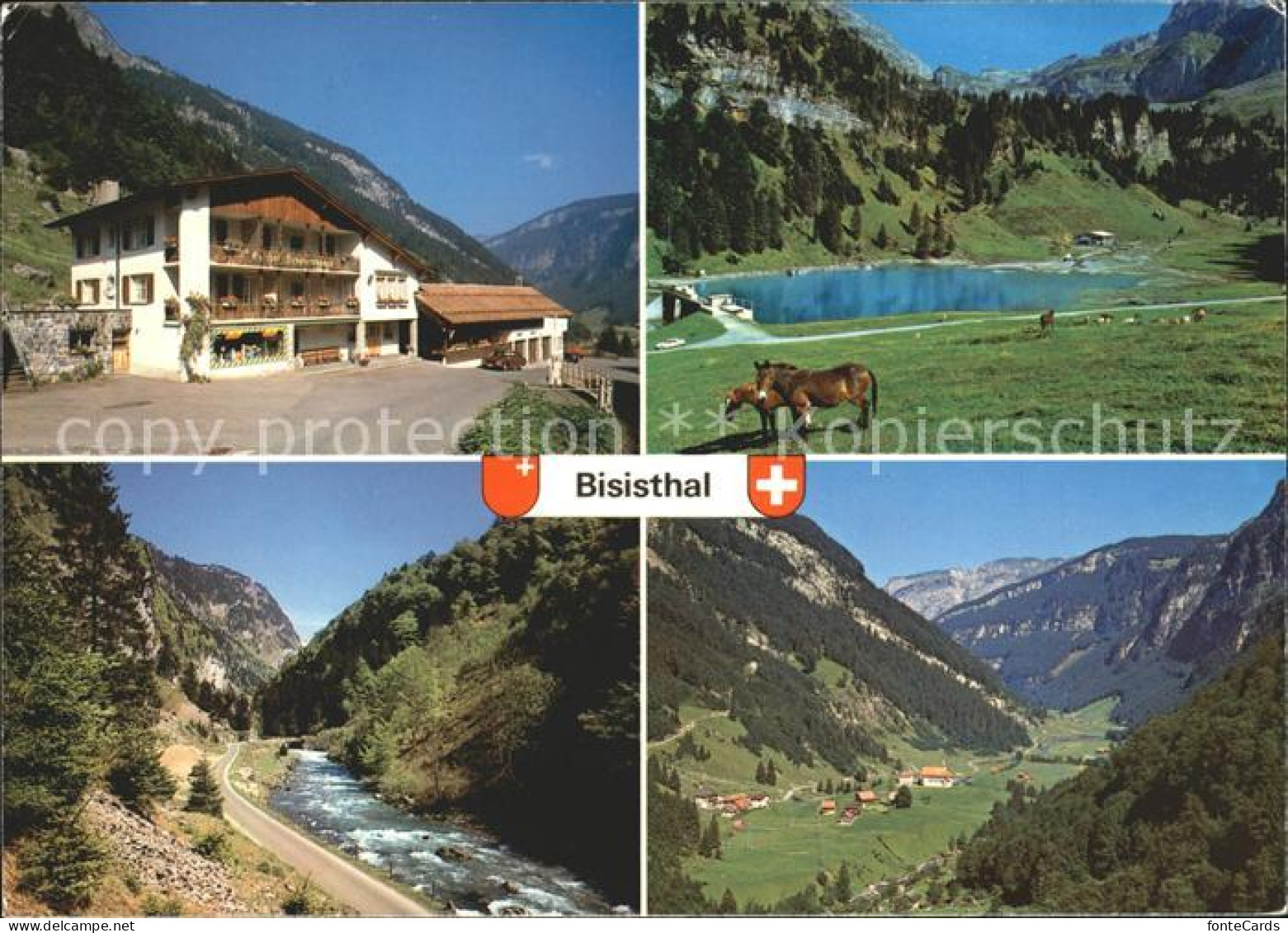 11870715 Bisisthal Gasthof Pension Schoenenboden Landschaften Pferde Bisisthal - Andere & Zonder Classificatie