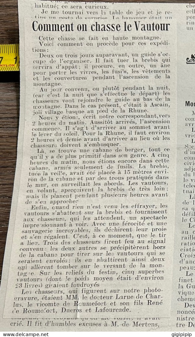 1908 PATI CHASSE AUX VAUTOURS Environs De Biarritz Larue De Charlus Vicomte De Roumefort Et René Dueros  Ascain. - Sammlungen