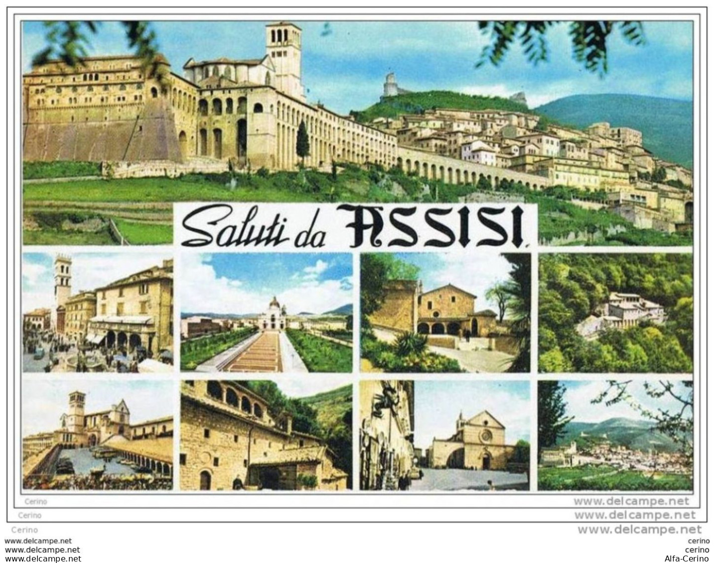 ASSISI:  SALUTI  DA .... -  VEDUTINE  -  FG - Perugia