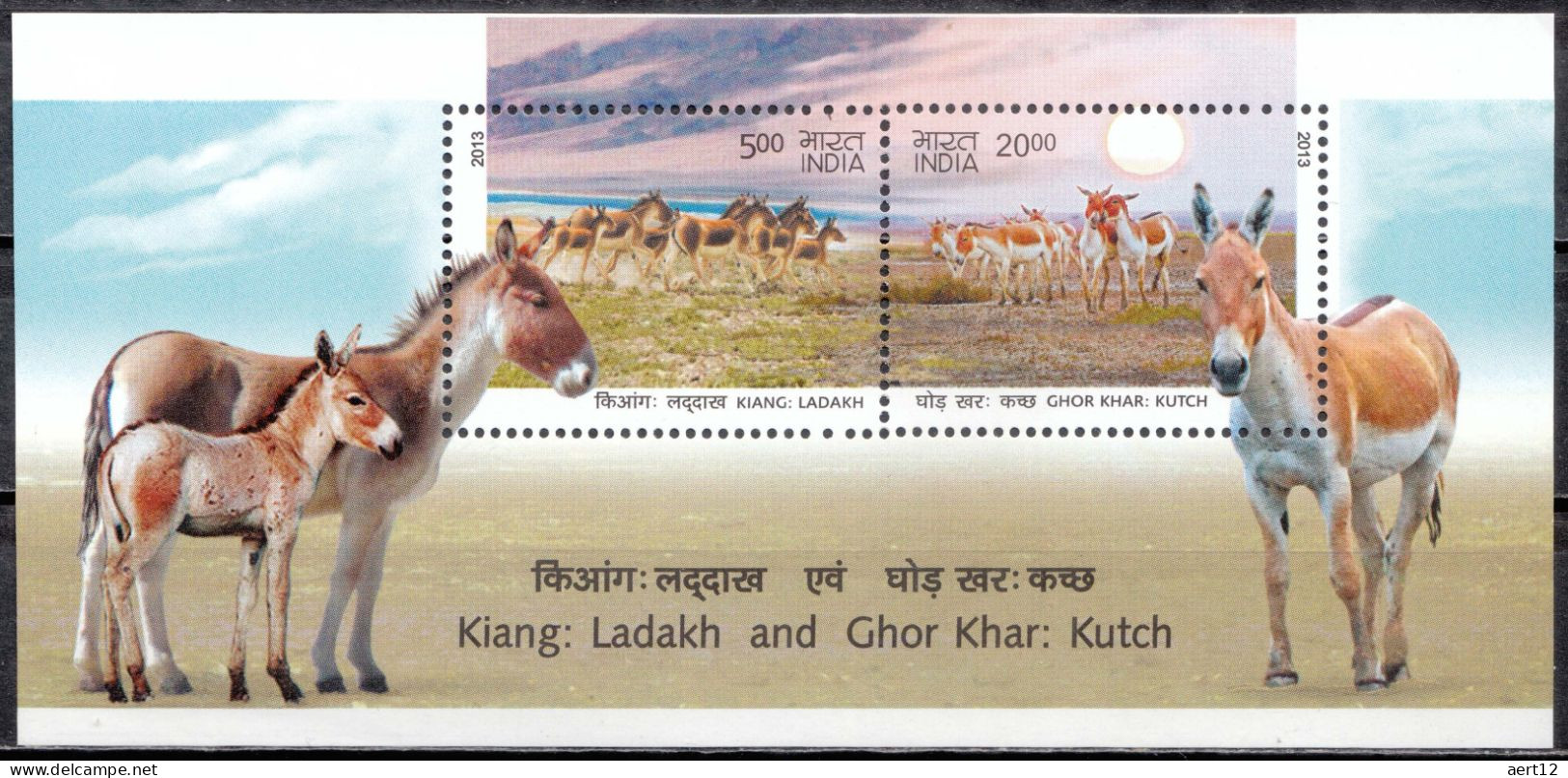 2013, India, Wild Asses Of India, Animals, Donkeys, Mammals, 1 Stamps, MNH(**), IN BL114 - Ongebruikt