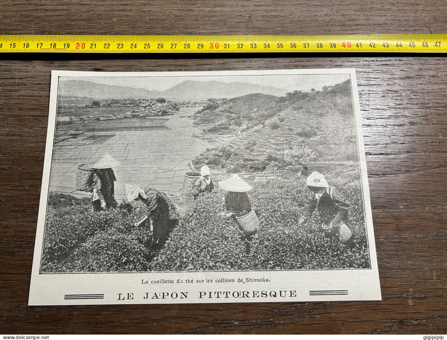1908 PATI Cueillette Di Thé Sur Les Collines De Shizuoka. LE JAPON PITTORESQUE - Collections