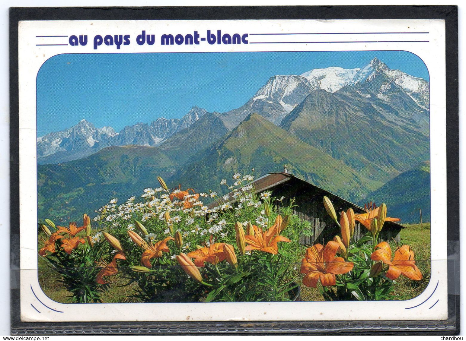 AU PAYS DU MT BLANC   // Lot D  28 - Veyrier