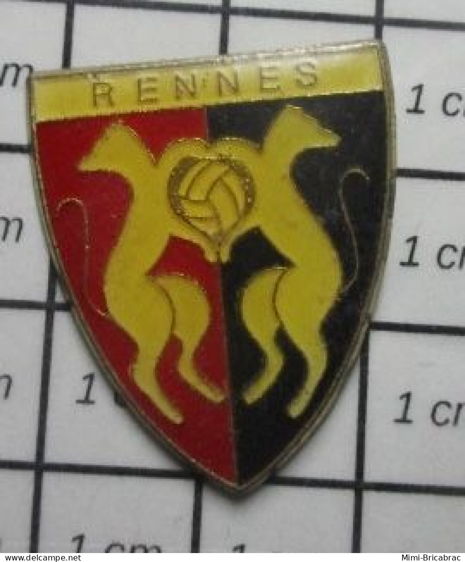 313K Pin's Pins / Beau Et Rare / SPORTS / CLUB FOOTBALL RENNES STADE RENNAIS - Voetbal