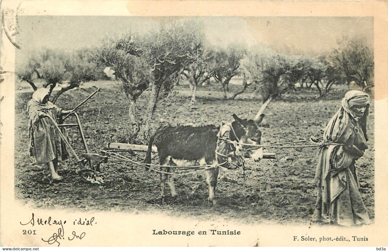  TUNISIE  CARTHAGE  La Primatiale  - Tunisia