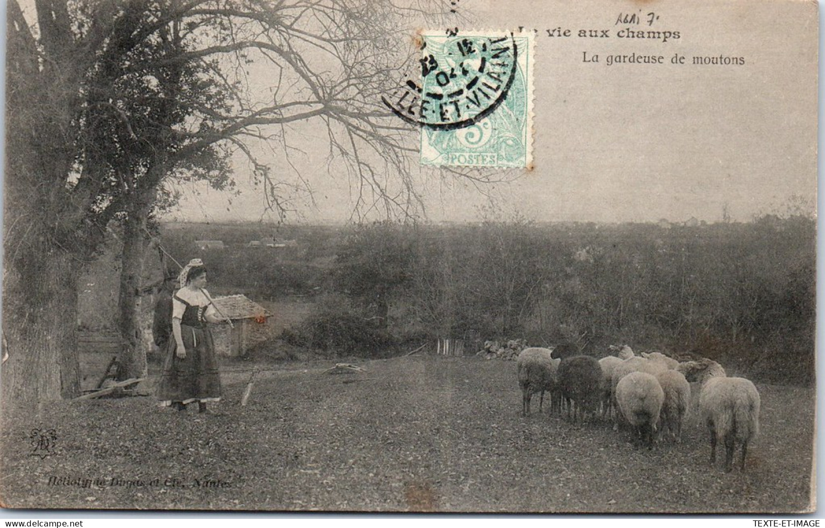 AGRICULTURE - Vie Au Champ - La Gardeuse De Moutons  - Sonstige & Ohne Zuordnung