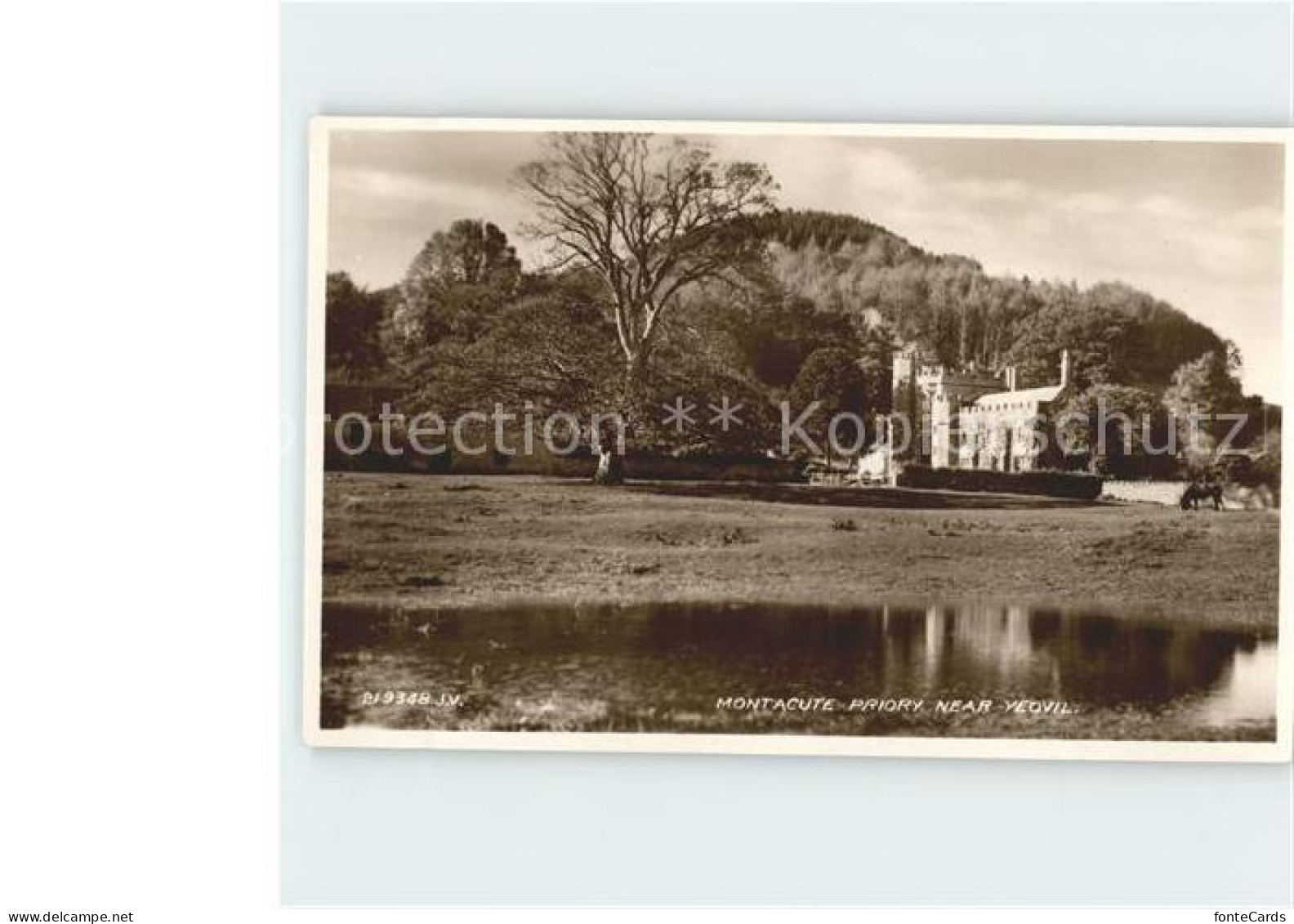 11748175 Yeovil South Somerset Montacute House South Somerset - Altri & Non Classificati
