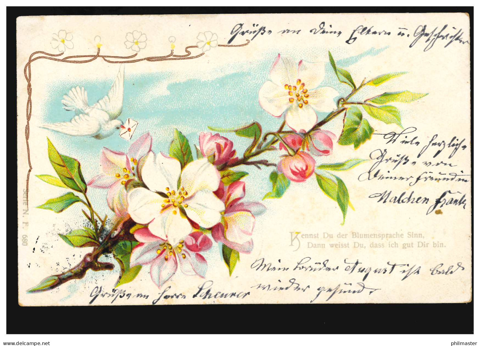 Blumen-AK Blumensprache - Blütenzweig Mit Brieftauben, EINÖLLEN 12.3.1903 - Autres & Non Classés