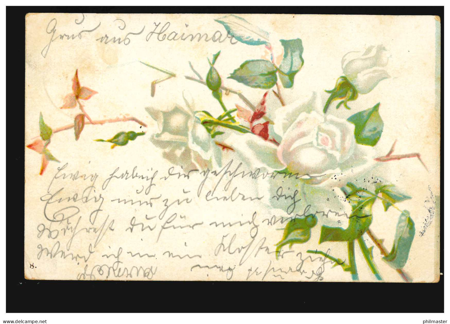 Blumen-AK Weiße Rosen, HOHENHAMELN 15.8.1901 Nach BURGDORF (HANNOVER) 15.8.01 - Altri & Non Classificati