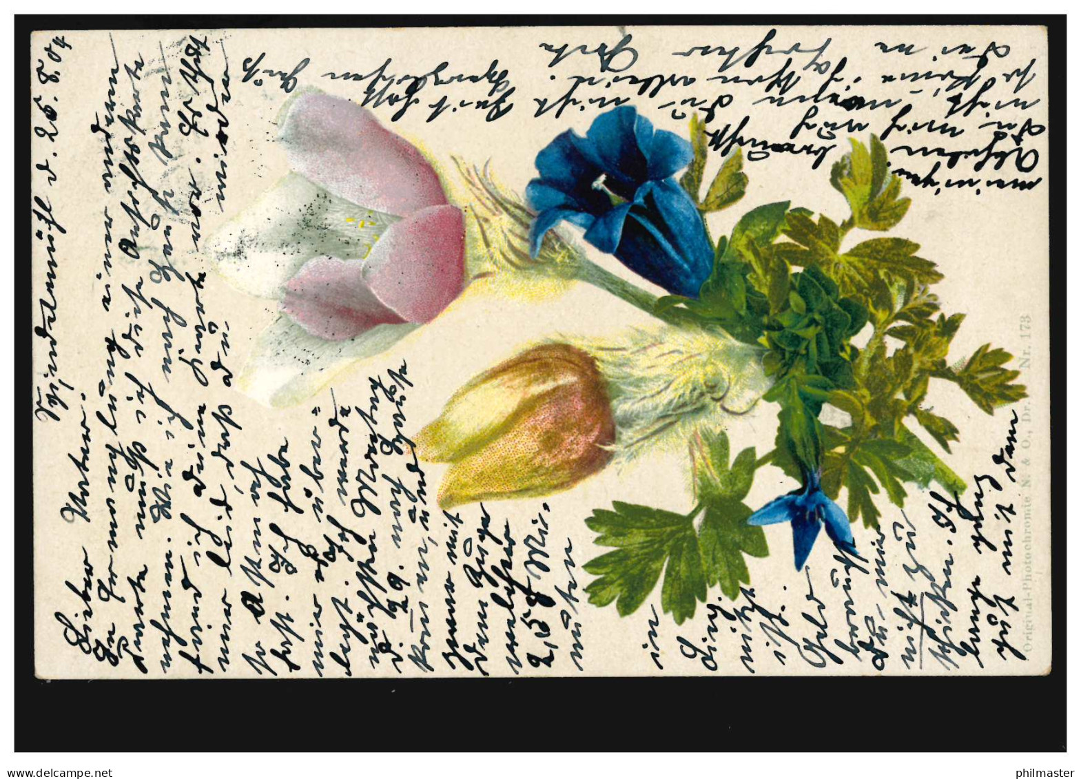 Blumen-AK Tulpen Und Enzian, SPINDELMÜHLE 26.8.1904 Nach LIEGNITZ 26.8.04 - Autres & Non Classés