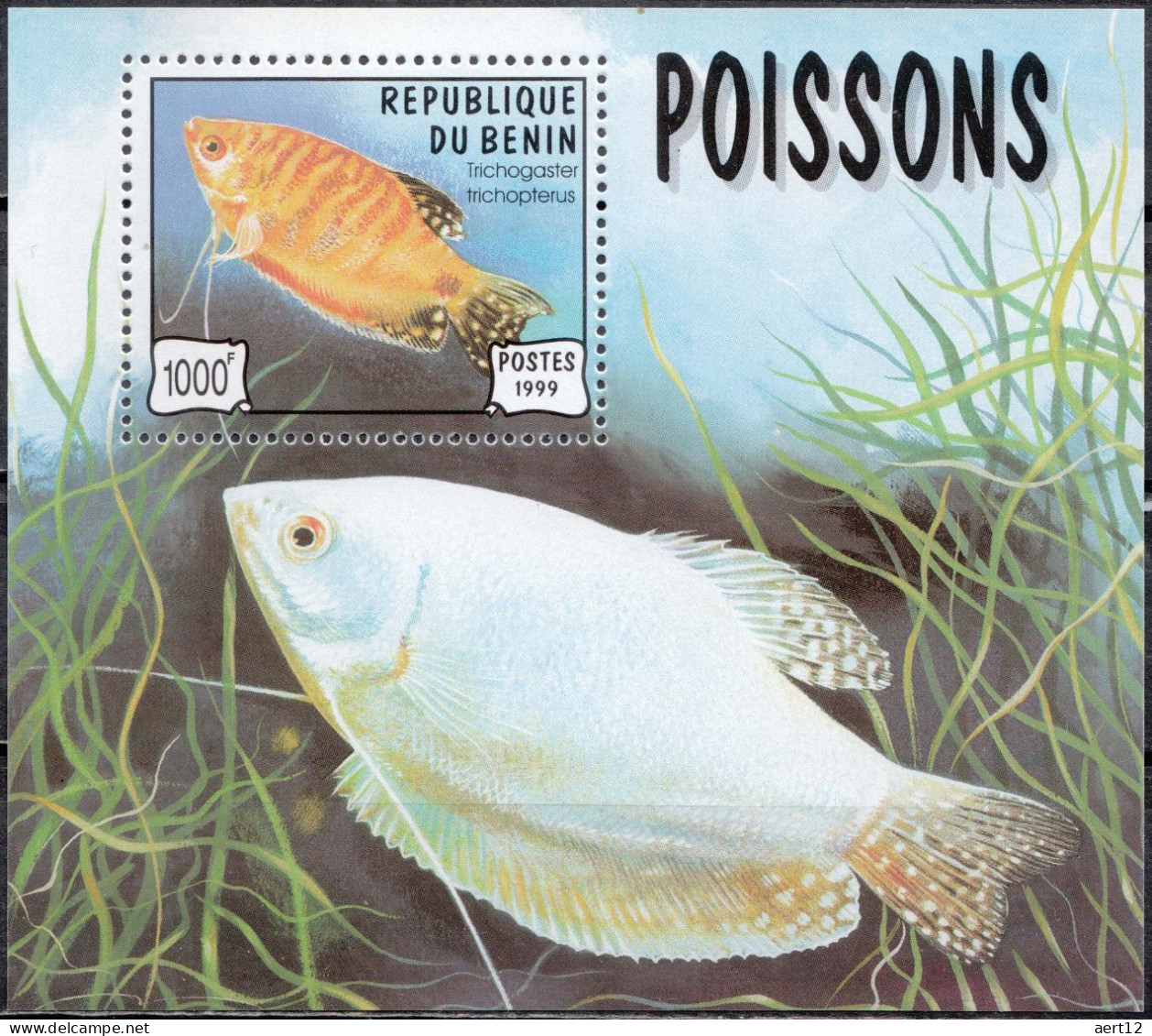1999, Benin, Fishes, Animals, Sea Life, Souvenir Sheet, MNH(**), BJ BL49 - Benin - Dahomey (1960-...)