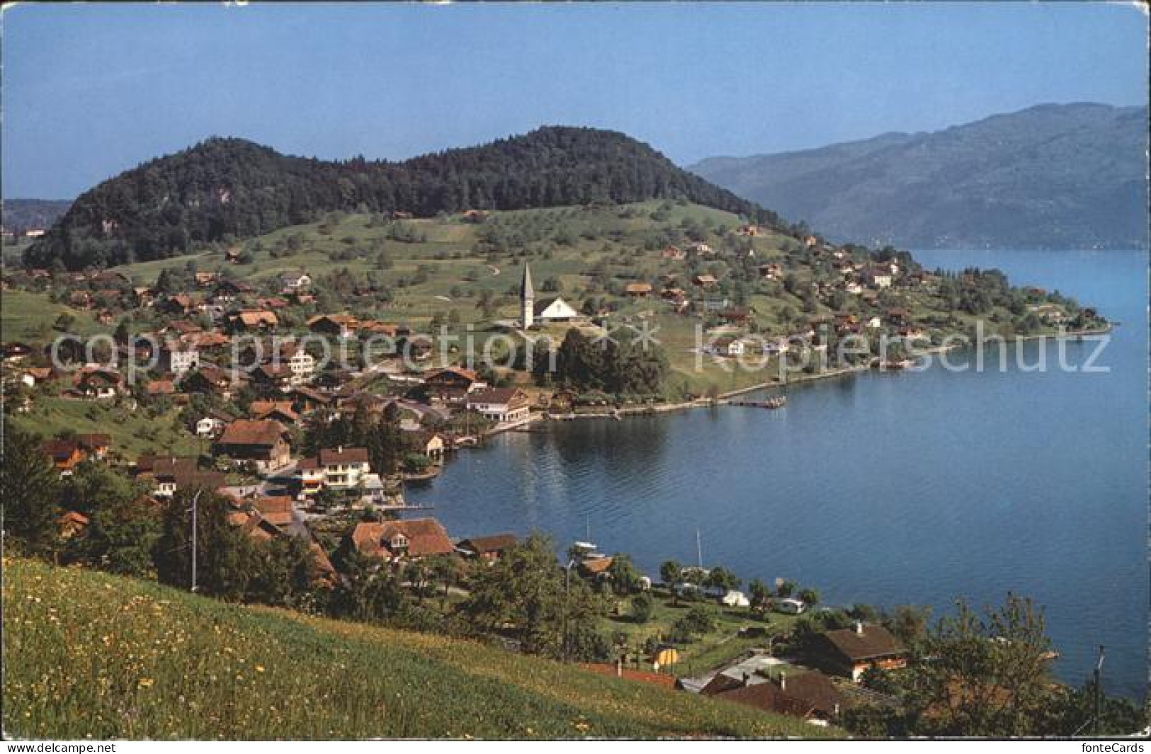 11747604 Faulensee Thunersee Faulensee - Sonstige & Ohne Zuordnung