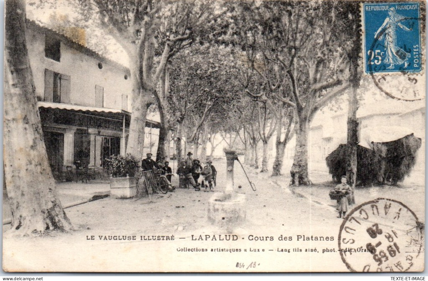 84 LAPALUD - Cours Des Platanes. - Lapalud