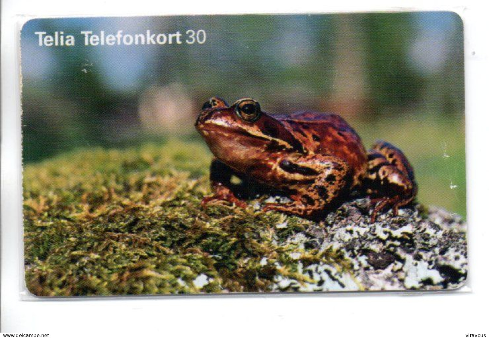 Grenouille Frog  Animal Télécarte Suède Phonecard  (K297) - Sweden