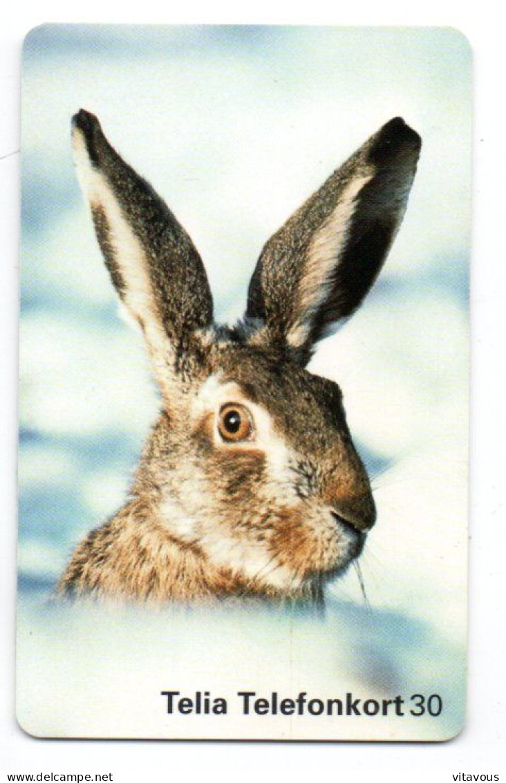 Lapin Rabbit Animal Télécarte Suède Phonecard  (K 298) - Zweden