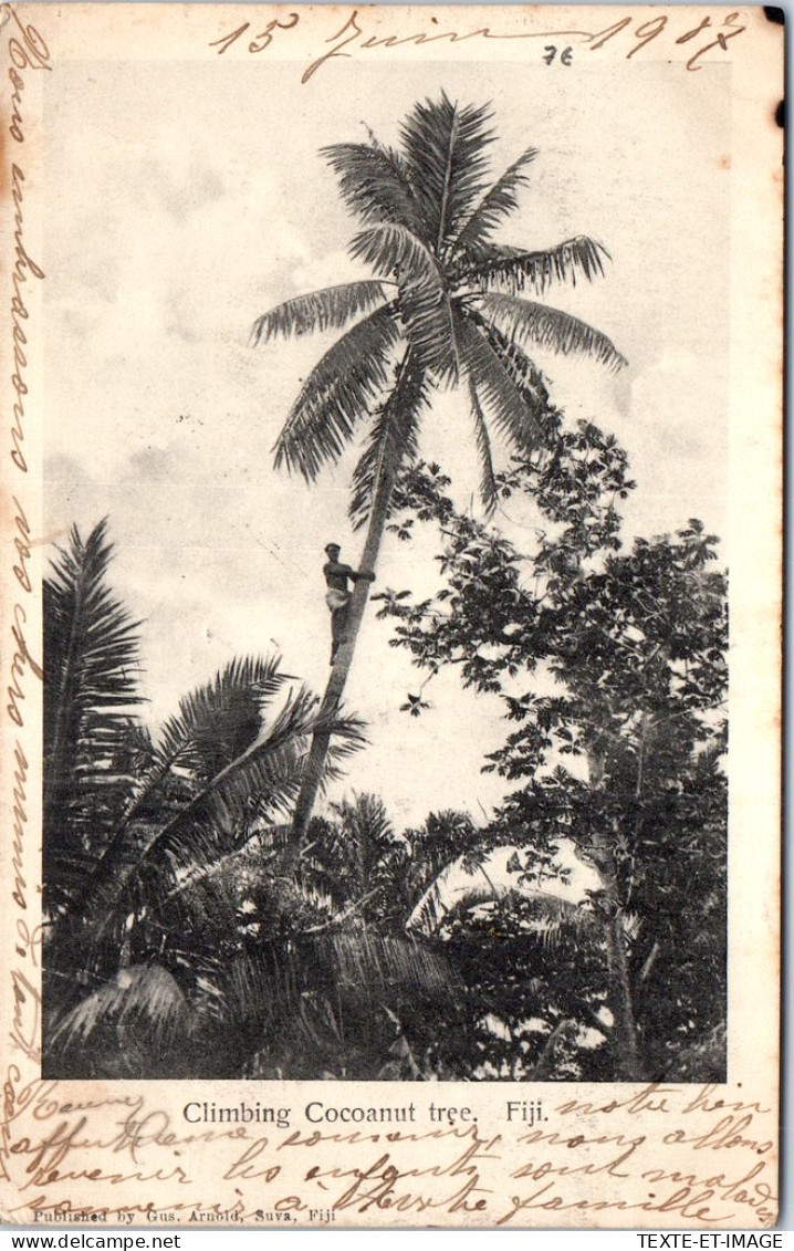 ILES FIJI - Climbing Coacoanut Tree - Fidschi