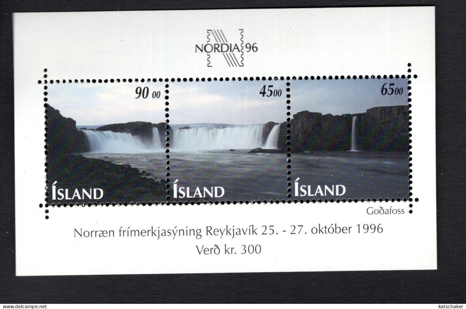2022470708 1996 SCOTT 830 (XX)  POSTFRIS MINT NEVER HINGED - NORDIA 96 - GODAFOSS WATERFALLS - SKJALFANDAFLJOT RIVER - Unused Stamps