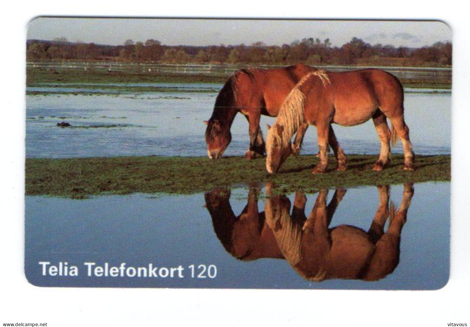 Cheval Chevaux Horse  Animal Télécarte Suède Phonecard  (K 301) - Zweden