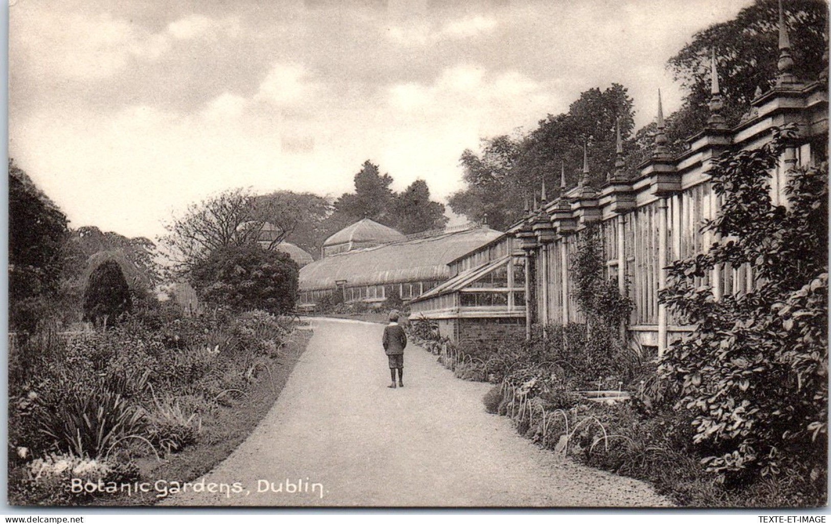 Irlande - DUBLIN - Botanic Gardens  - Otros & Sin Clasificación