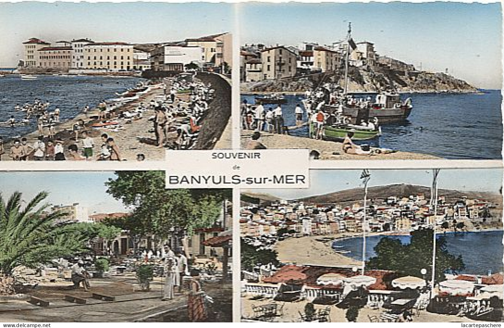 X114688 PYRENEES ORIENTALES COTE VERMEILLE BANYULS SUR MER PLAGE CAP DOUNE GOLF MINIATURE VUE GENERALE MULTIVUES - Banyuls Sur Mer