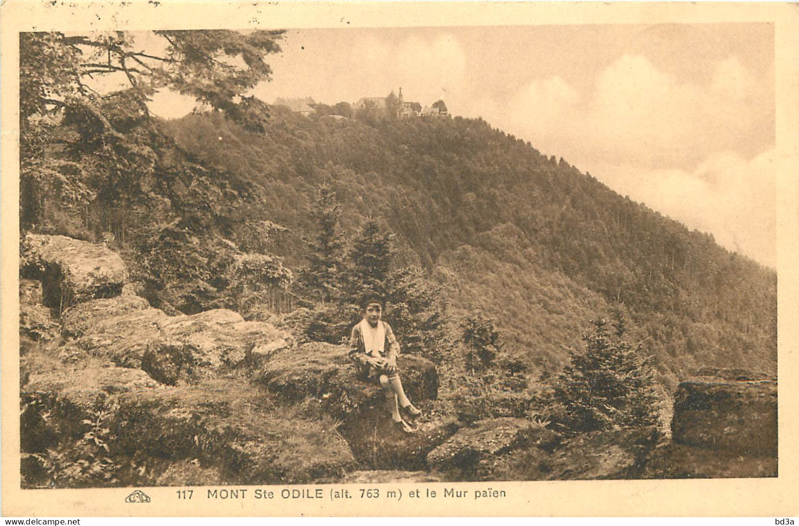  67 -  MONT SAINTE ODILE ET LE MUR PAÏEN - Sainte Odile