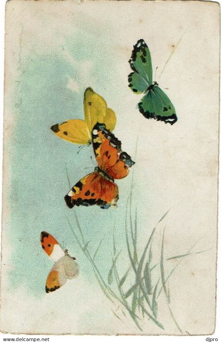Vlinders - Schmetterlinge