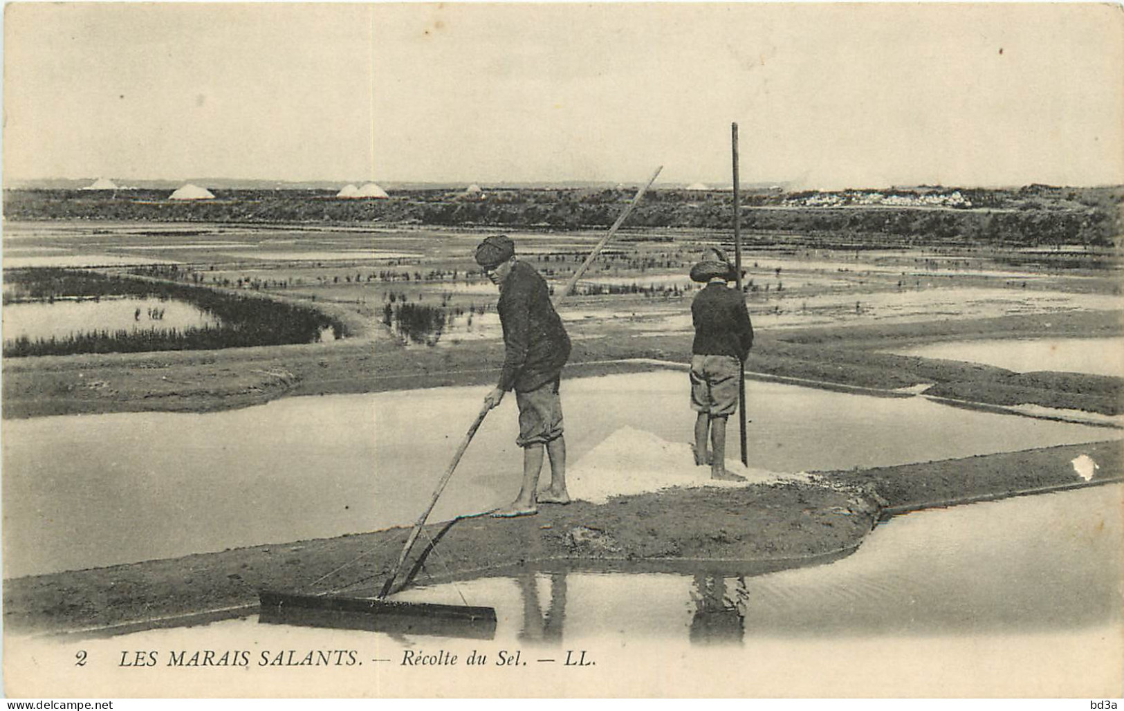 LES MARAIS SALANTS - RECOLTE DU SEL - Otros & Sin Clasificación