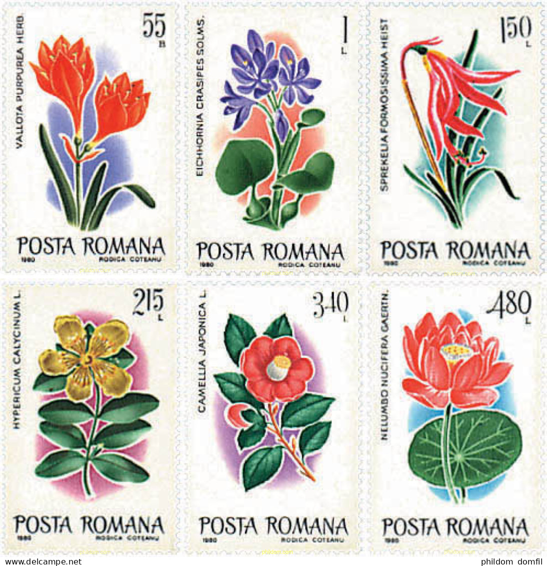 93973 MNH RUMANIA 1980 FLORES CULTIVADAS - Altri & Non Classificati