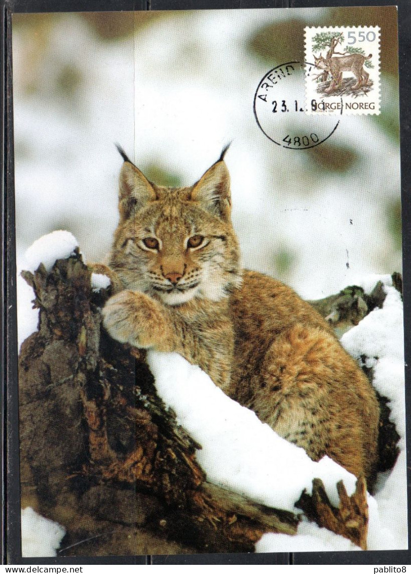 NORWAY NORGE NORVEGIA NORVEGE 1991 FAUNA LYNX 5.50k MAXI MAXIMUM CARD CARTE - Maximumkaarten