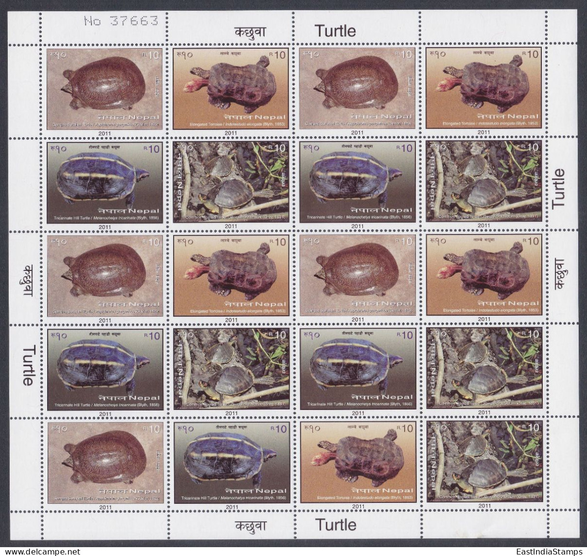 Nepal 2011 MNH Se-tenant Sheet Turtle, Turtles, Wildlife, Wild Life, Animals - Nepal