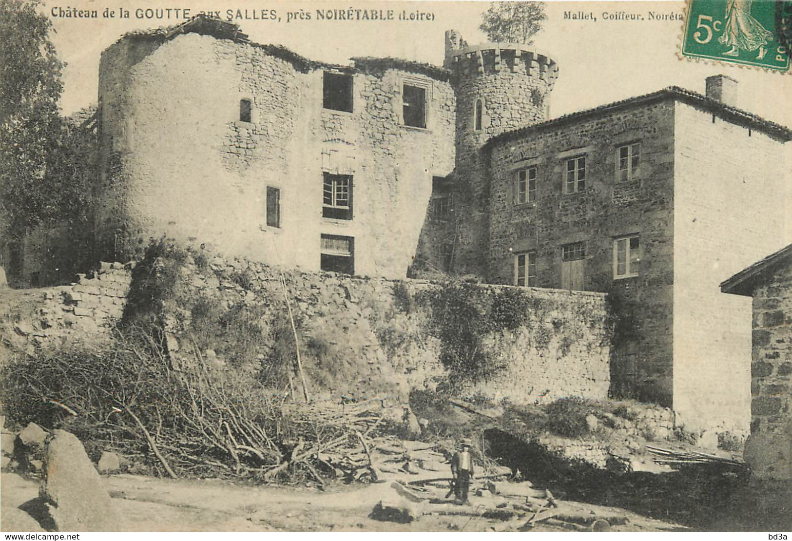 42 - CHATEAU DE LA GOUTTE AUX SALLES PRES NOIRETABLE - Noiretable