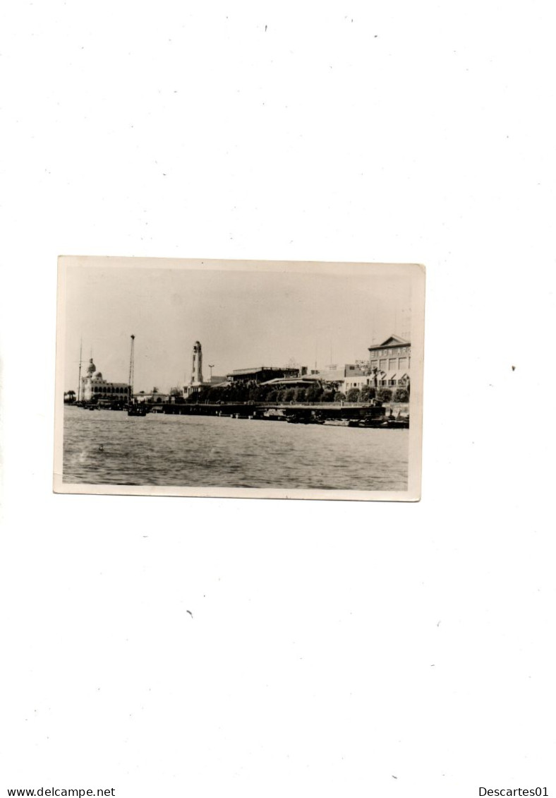 C P A  ANIMEE  PORT SAID   CIRCULEE   MARS 1908 - Port-Saïd